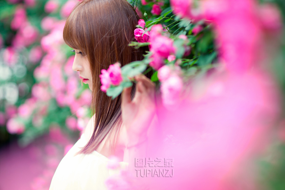 gallery-0488f3b83e.jpg