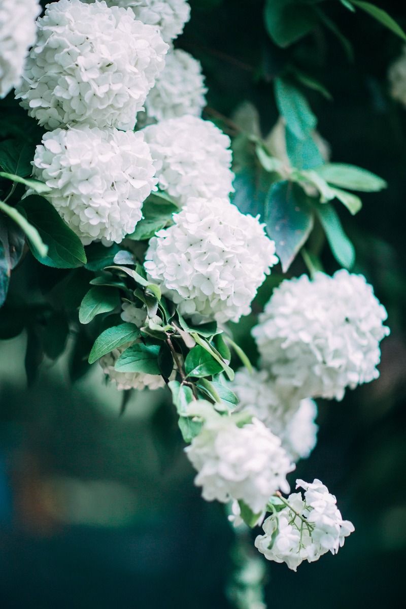 gallery-05a4a9c000.jpg