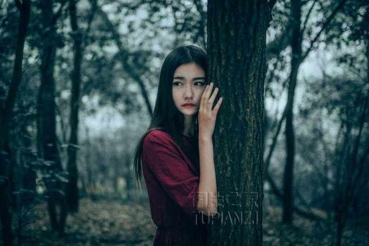 gallery-0c32479eca.jpg