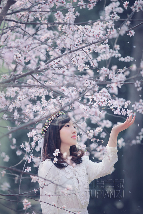 gallery-0c9a8001ae.jpg