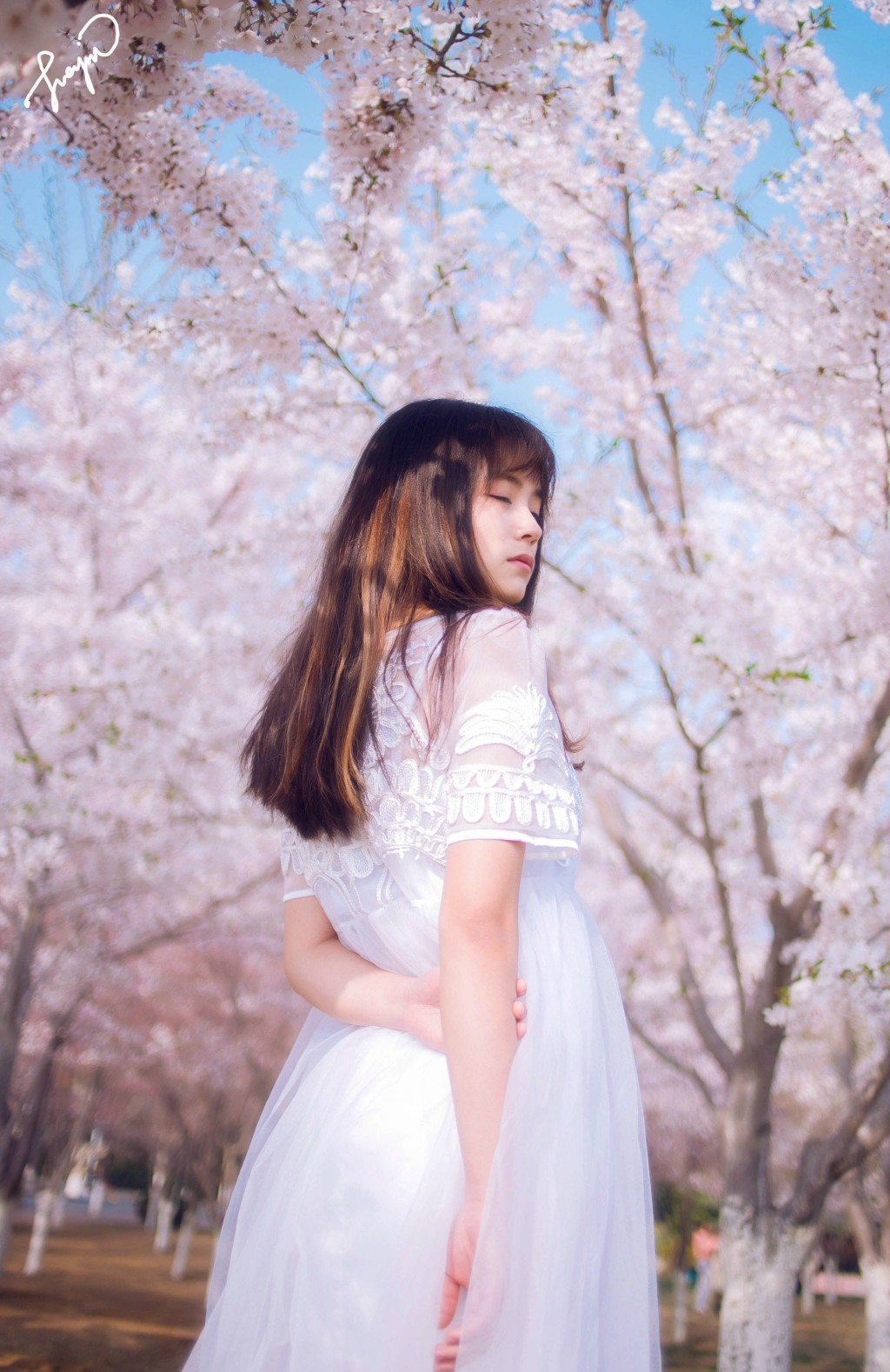 gallery-0e168a8c47.jpg