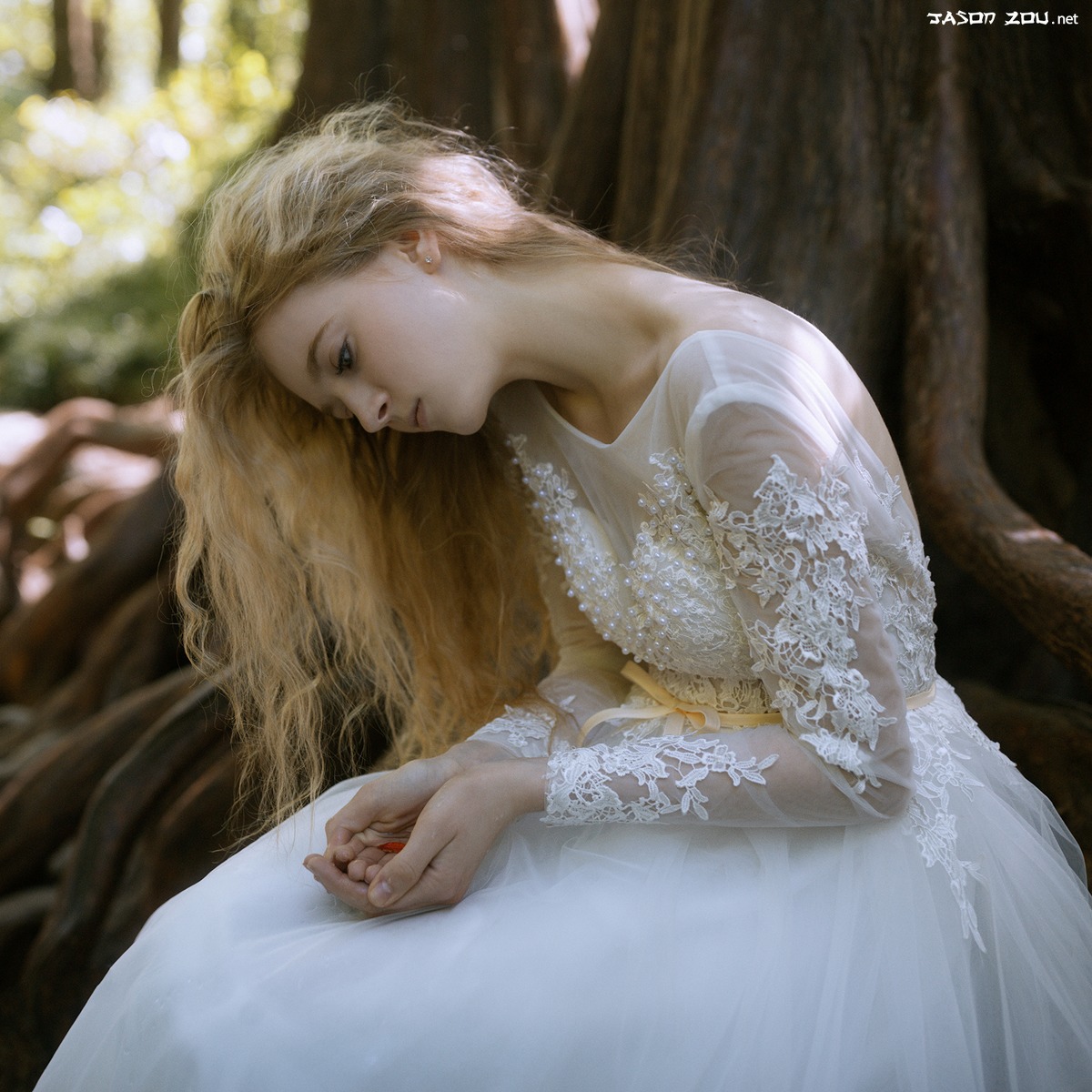 gallery-0e71b72660.jpg