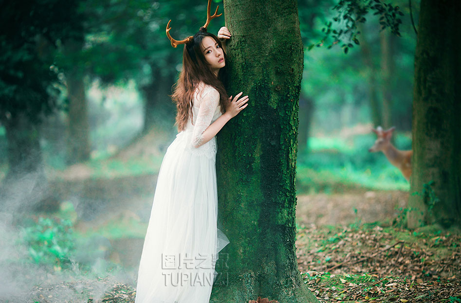 gallery-188764196a.jpg