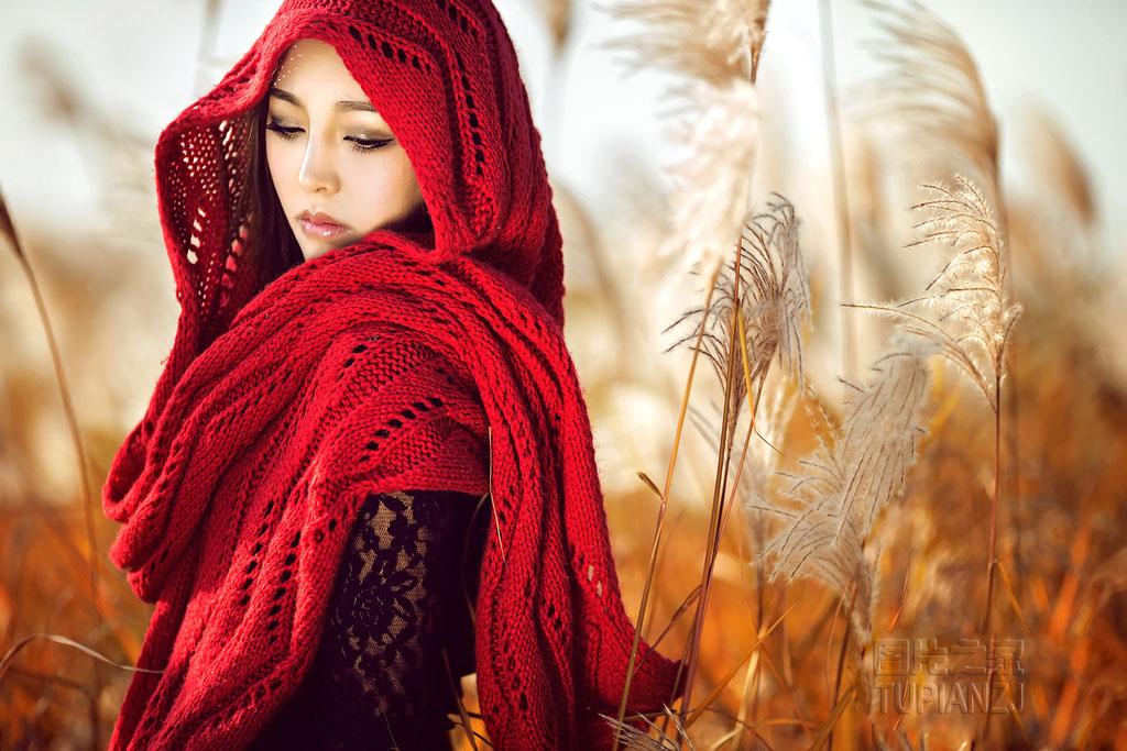 gallery-190bb0088b.jpg