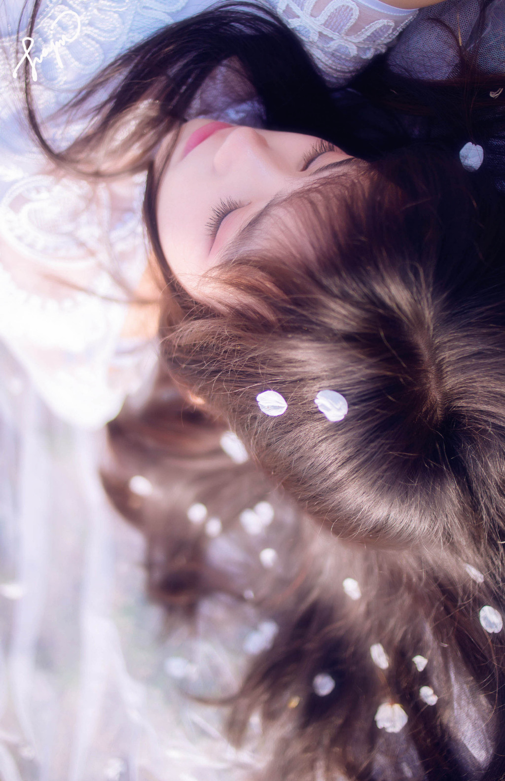 gallery-1a23fe964f.jpg