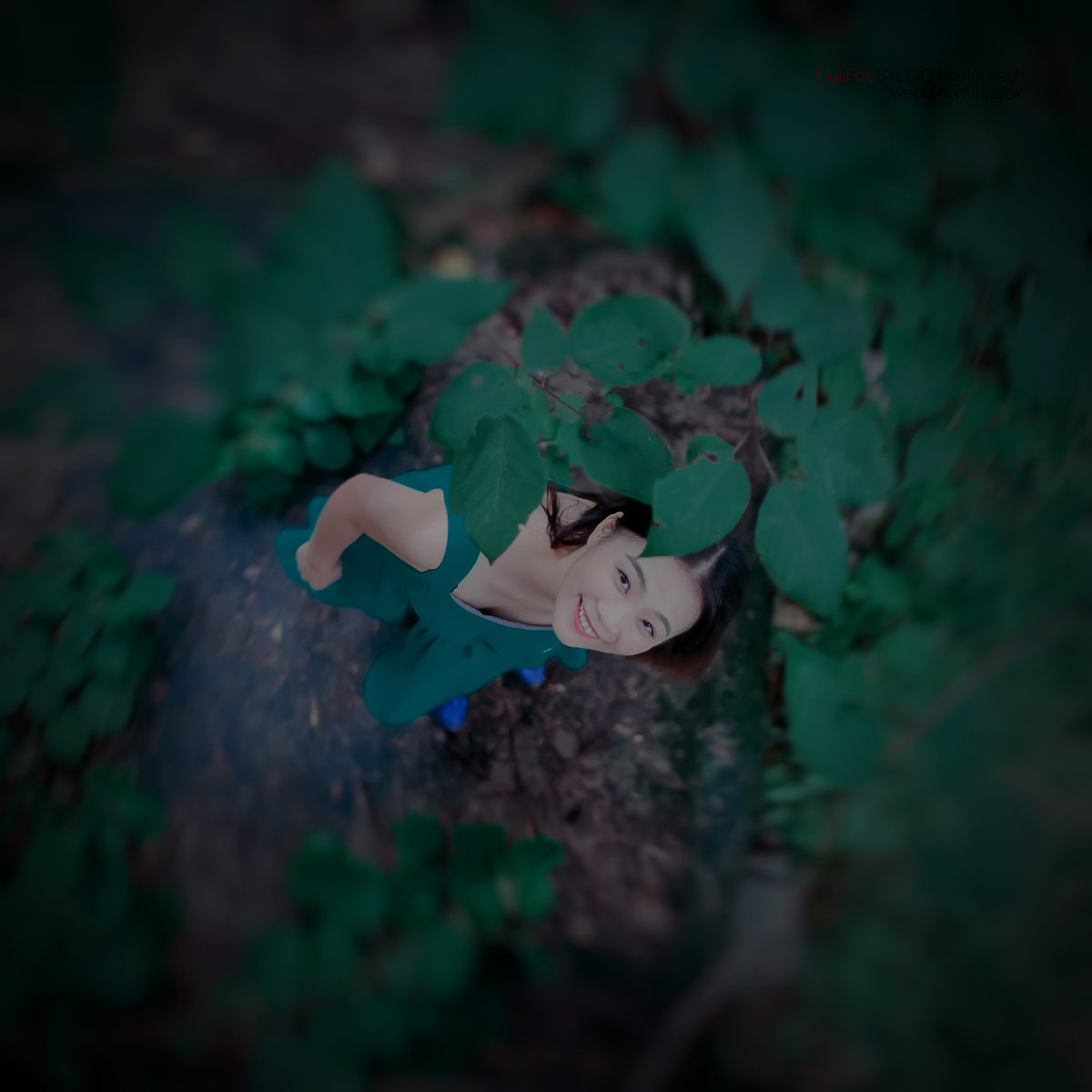 gallery-1b6a378c0a.jpg