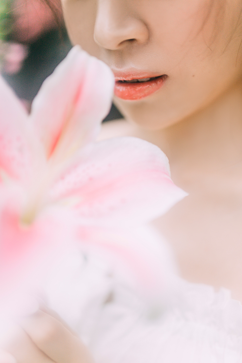 gallery-1bf919c663.jpg