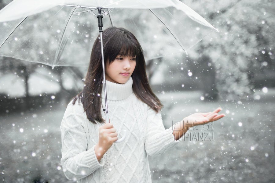 gallery-1e78815b0b.jpg
