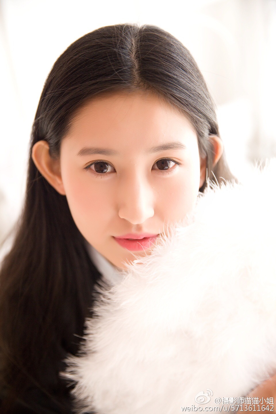 gallery-247067862d.jpg