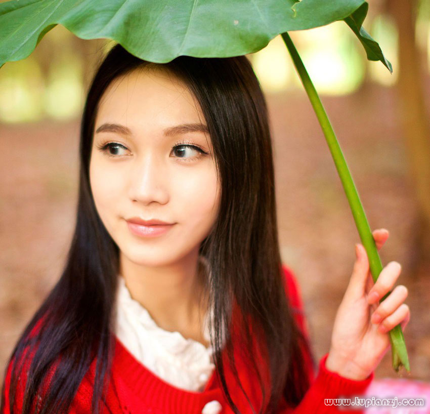 gallery-25ec0c4cf5.jpg