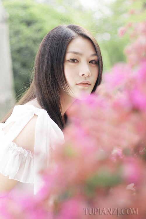 gallery-2913356ed1.jpg