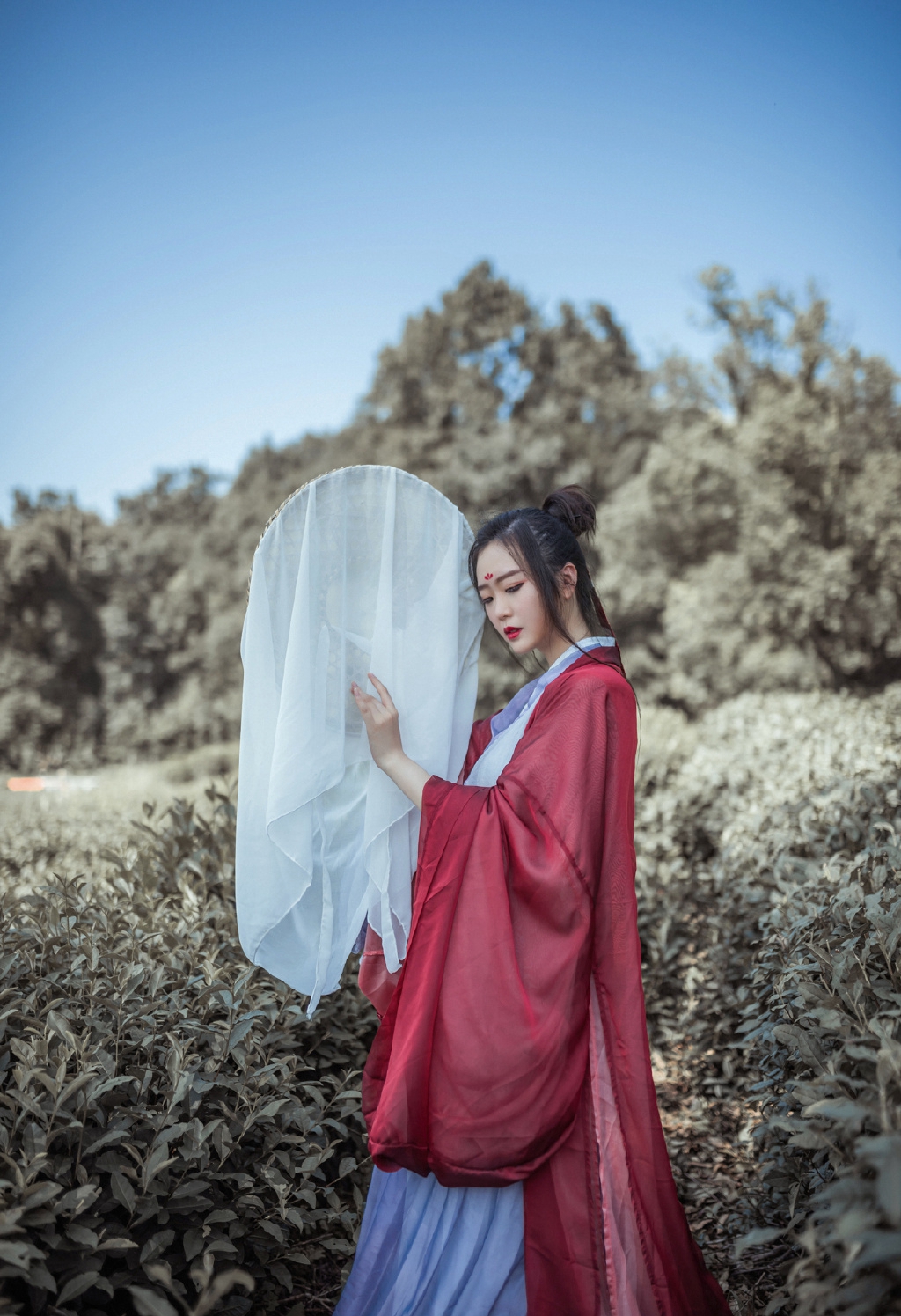 gallery-29a51b9a8c.jpg