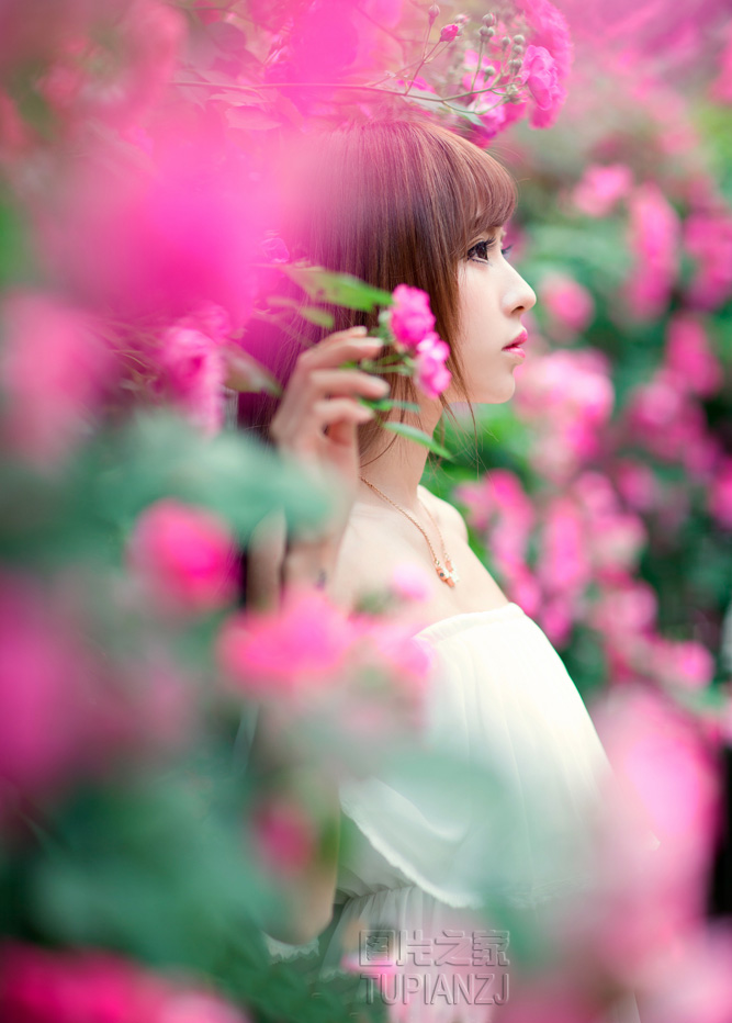 gallery-2a21982262.jpg