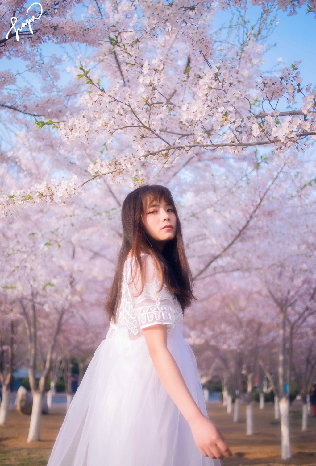 gallery-2d0f3f7a9b.jpg