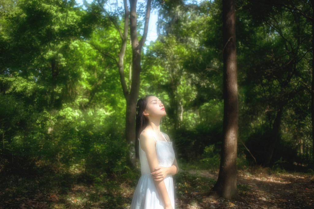 gallery-2d0fa20302.jpg