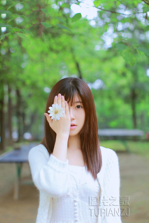 gallery-2d3780875c.jpg