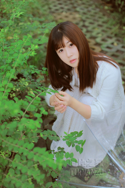 gallery-2f094c48ef.jpg