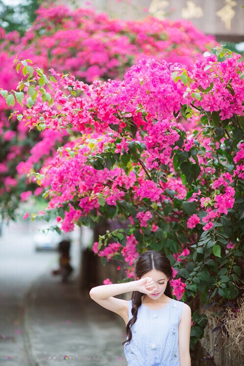 gallery-36fac0e75e.jpg