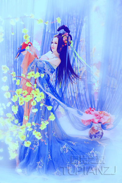 gallery-3873977549.jpg