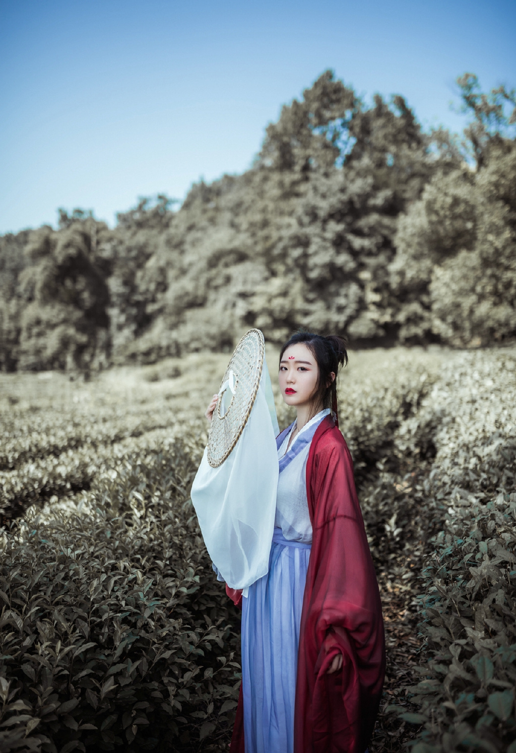 gallery-3c7e498b2d.jpg