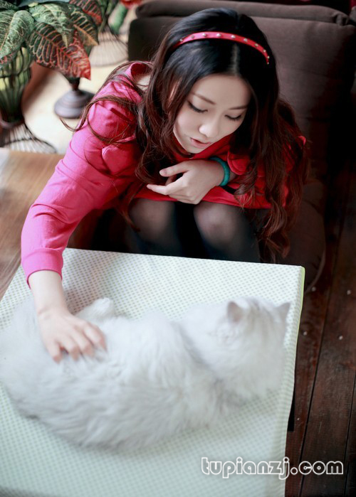 gallery-47869cdc6d.jpg