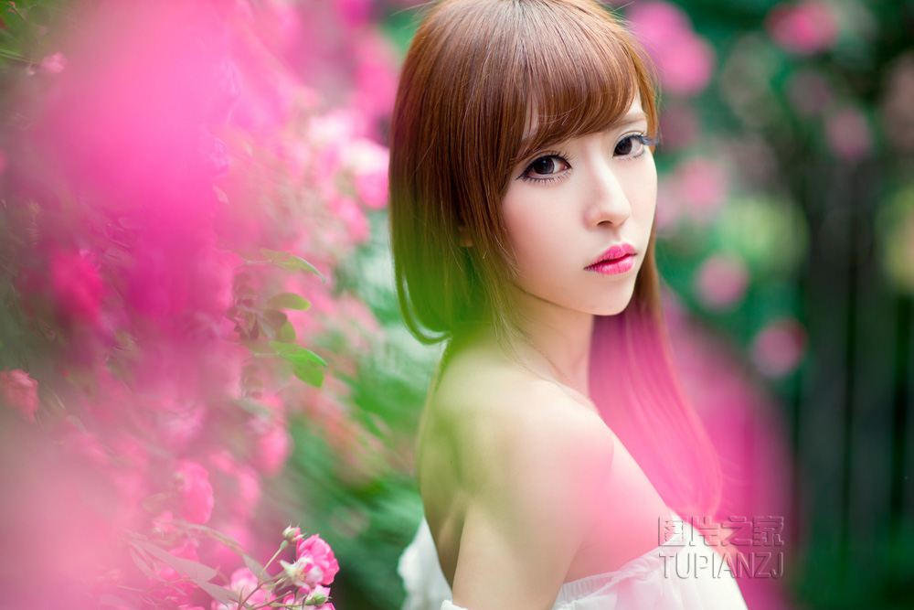 gallery-490f394625.jpg