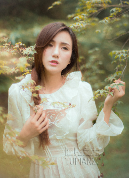 gallery-49b3e0c65a.jpg