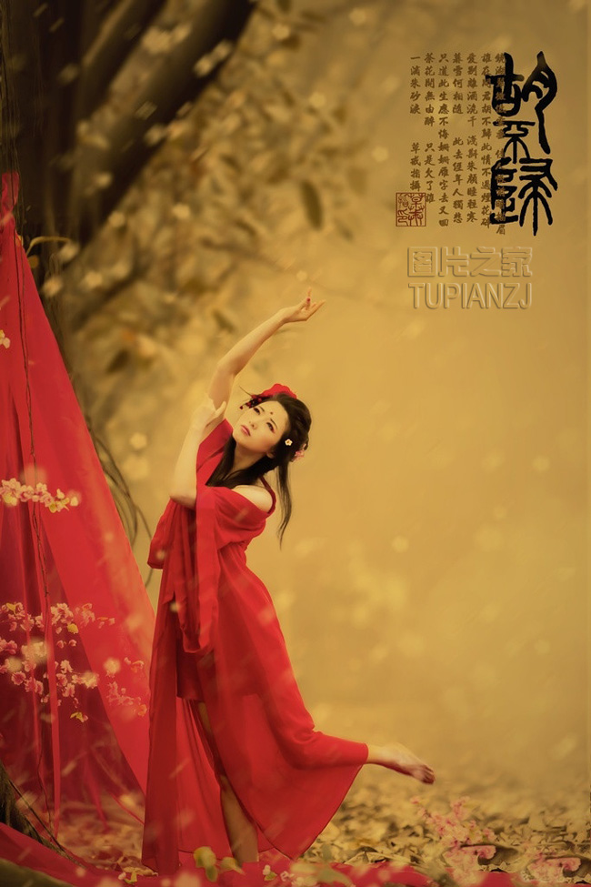 gallery-4ab081c870.jpg
