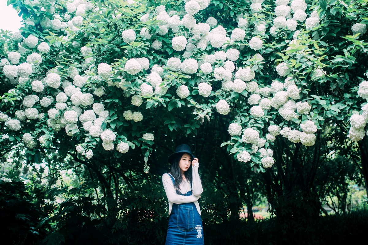 gallery-5691211724.jpg