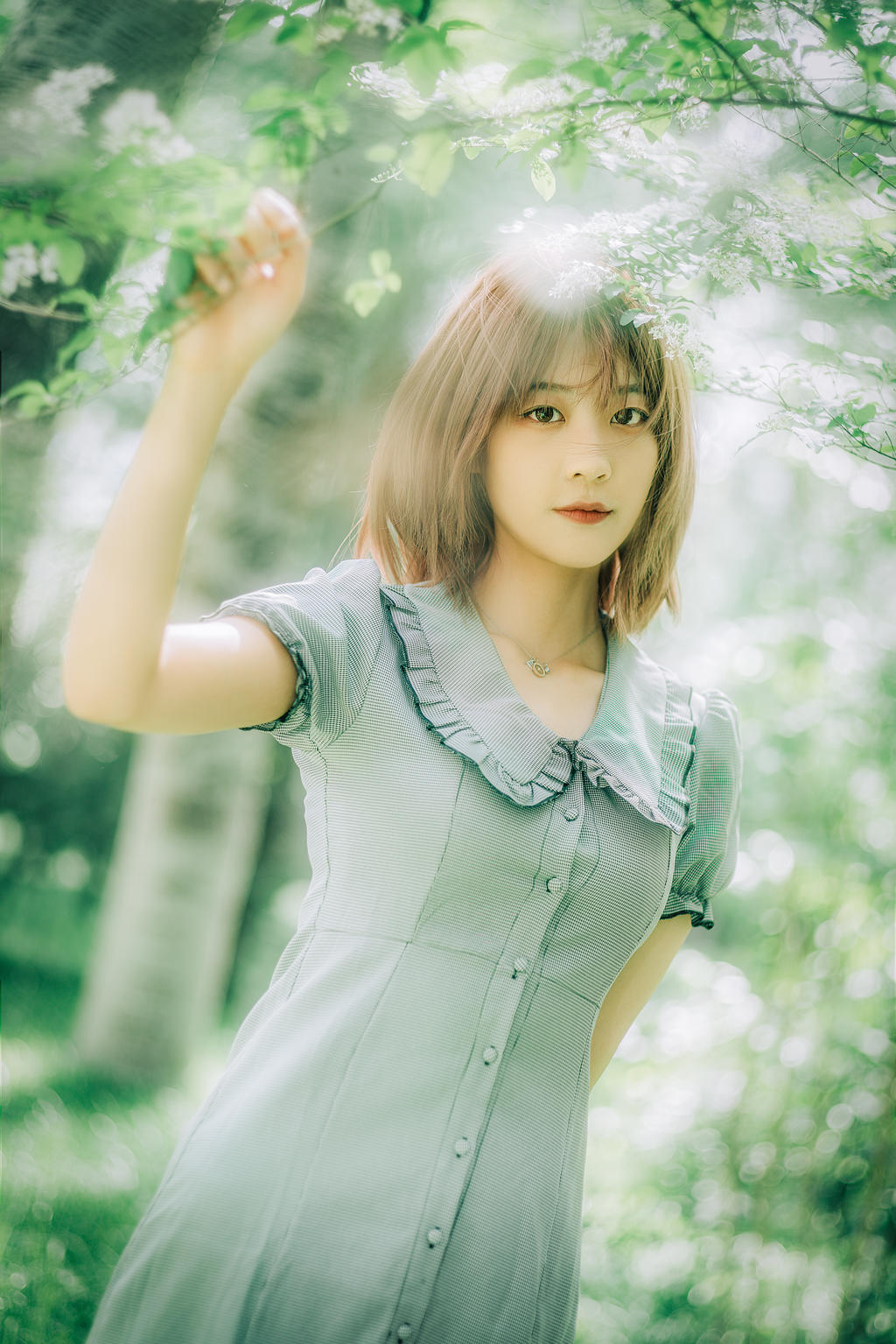 gallery-56a812b4c4.jpg