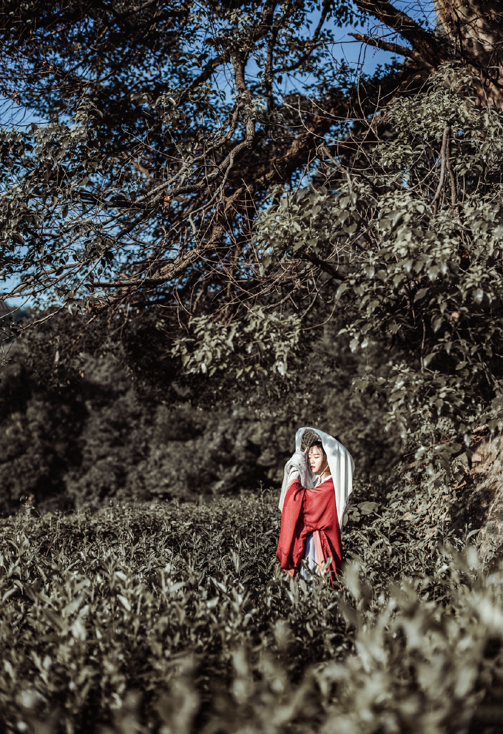 gallery-5a45d3d57e.jpg
