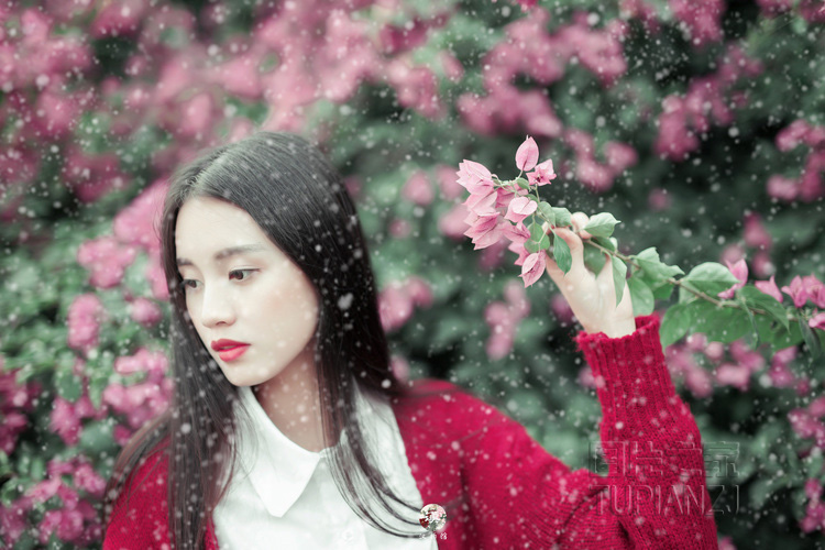 gallery-5a4afa62b7.jpg