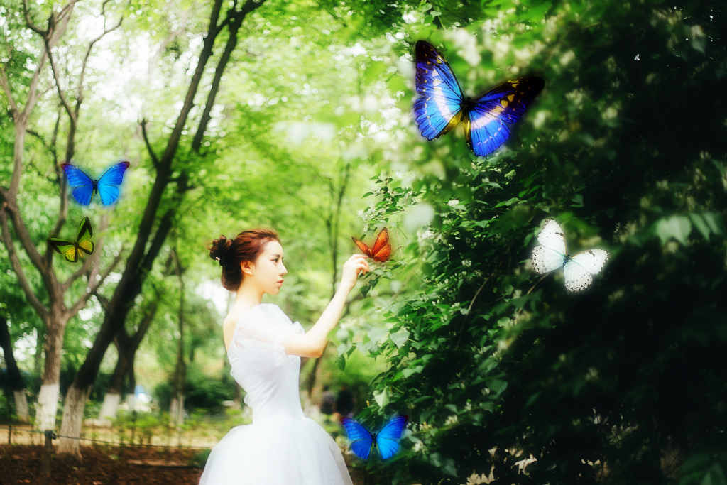 gallery-5f47ee0a00.jpg