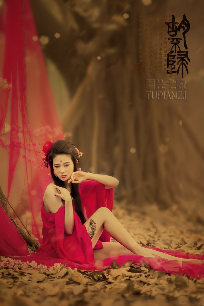 gallery-62735f12ff.jpg