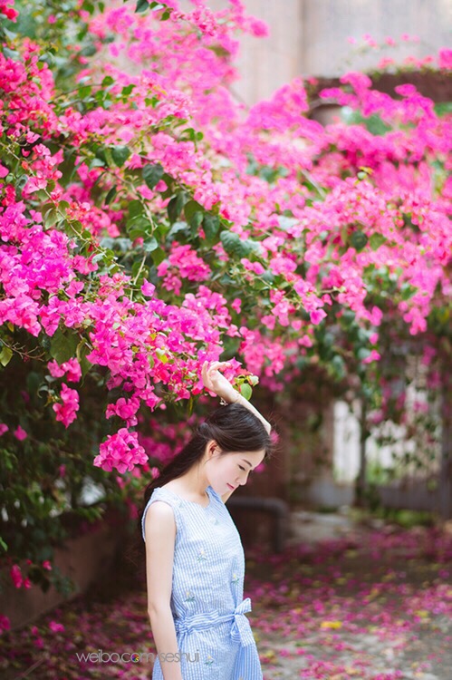 gallery-63f8f2b346.jpg