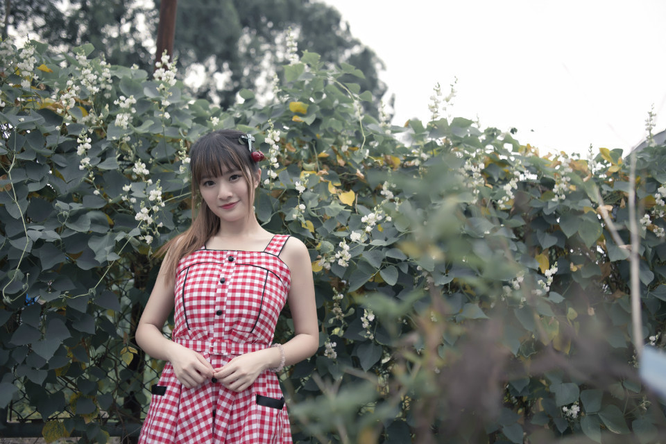 gallery-6a8db16f0b.jpg