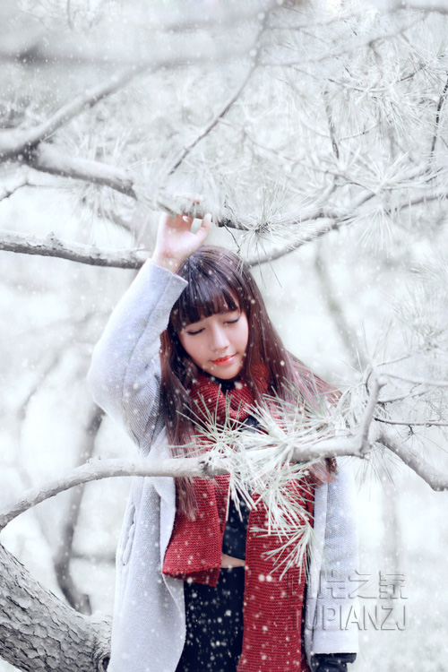 gallery-6cde1d2d88.jpg
