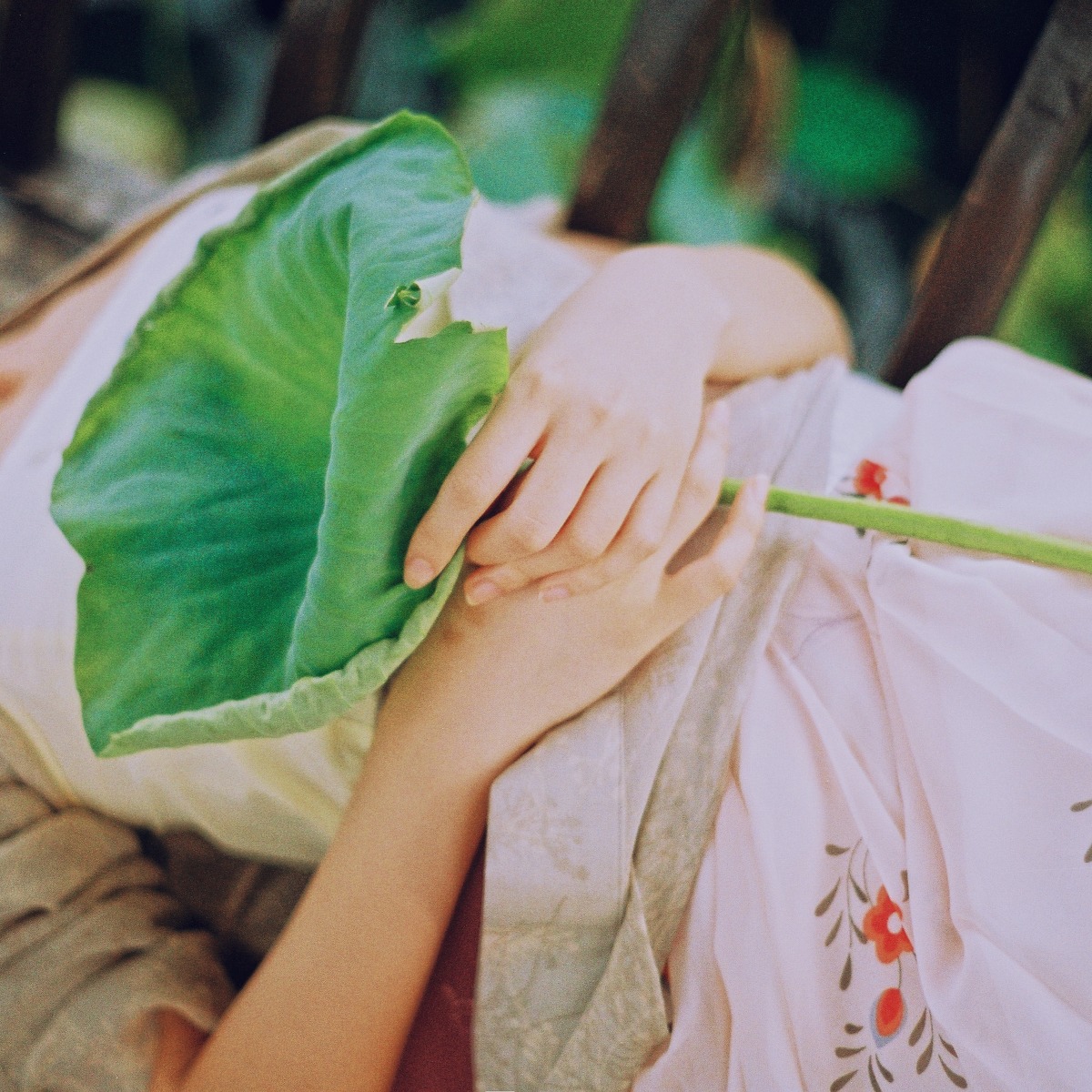 gallery-7085d0e2da.jpg