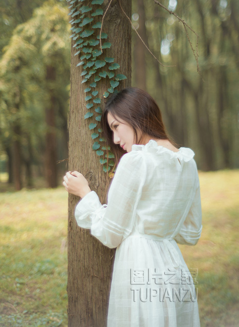 gallery-75eb24a3af.jpg
