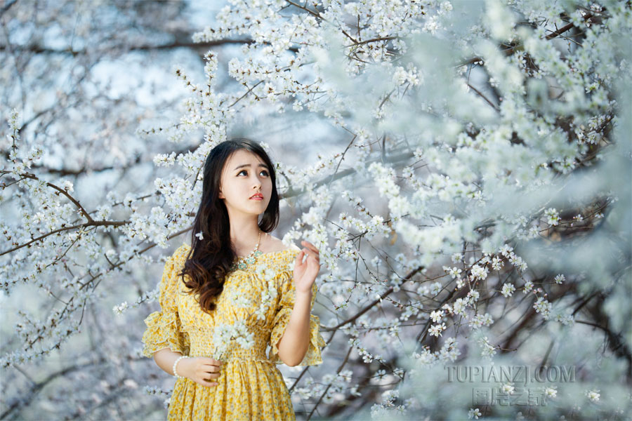 gallery-77ca73287f.jpg