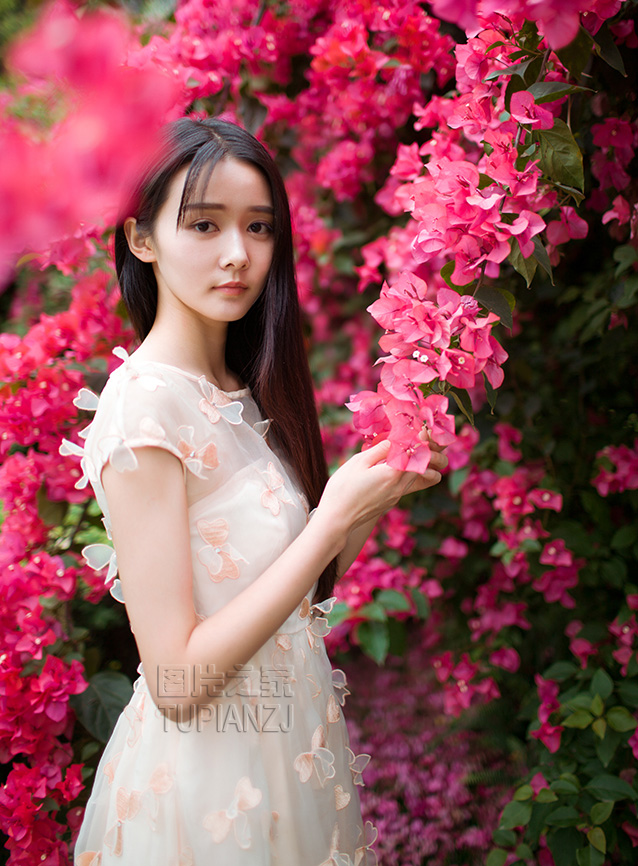 gallery-787a647f2e.jpg