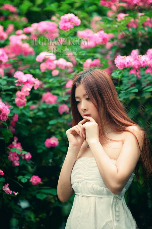gallery-79021fd252.jpg