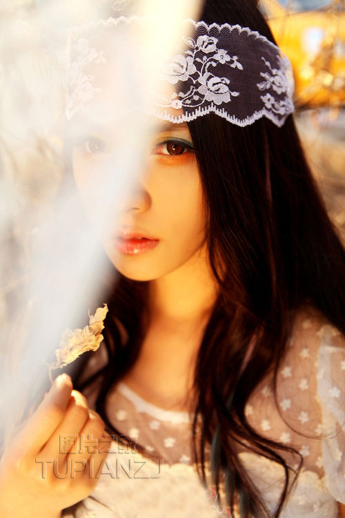 gallery-799cddd22a.jpg