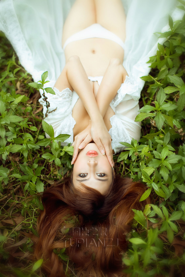 森林中的超性感美女写真图片