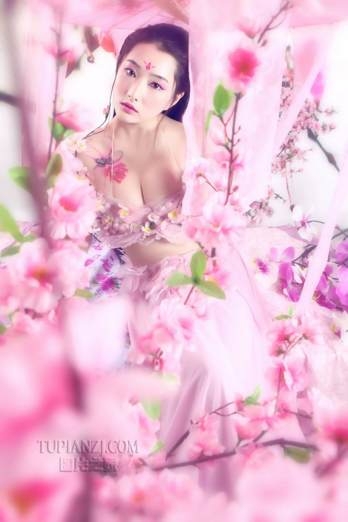 gallery-817c7f4c55.jpg