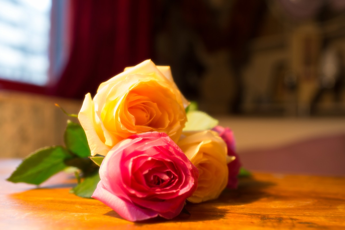 gallery-821d11090a.jpg