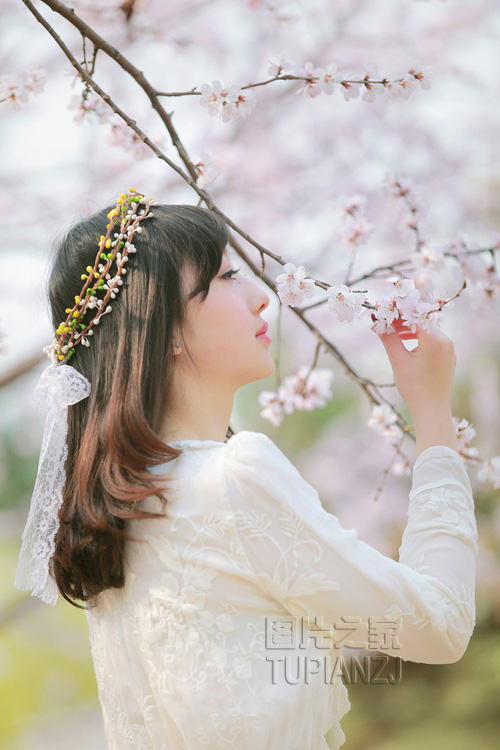 gallery-8351fd5504.jpg