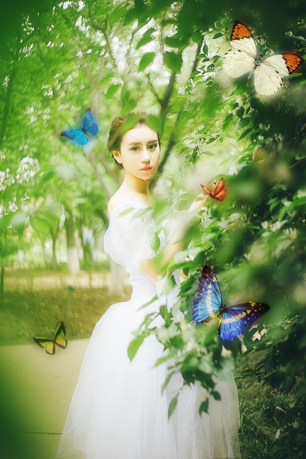 gallery-84028402c5.jpg