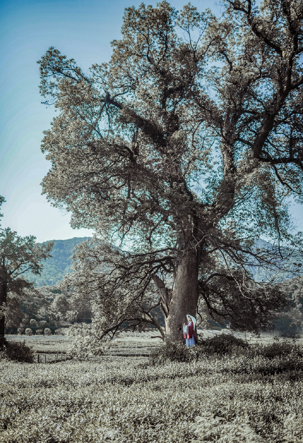 gallery-841341b7db.jpg