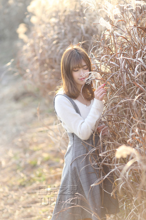 gallery-847ff69f46.jpg